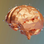 Hormone disruptors cause brain damage